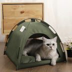 Cat inside a green tent on a wooden floor with a wooden drawer in the background